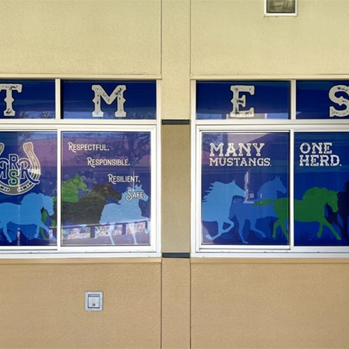 Window & Wall Graphics